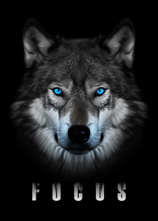 Poster Wolf Focus