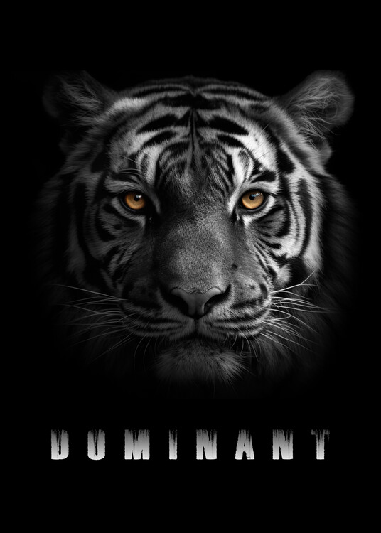 Poster Tiger Dominant