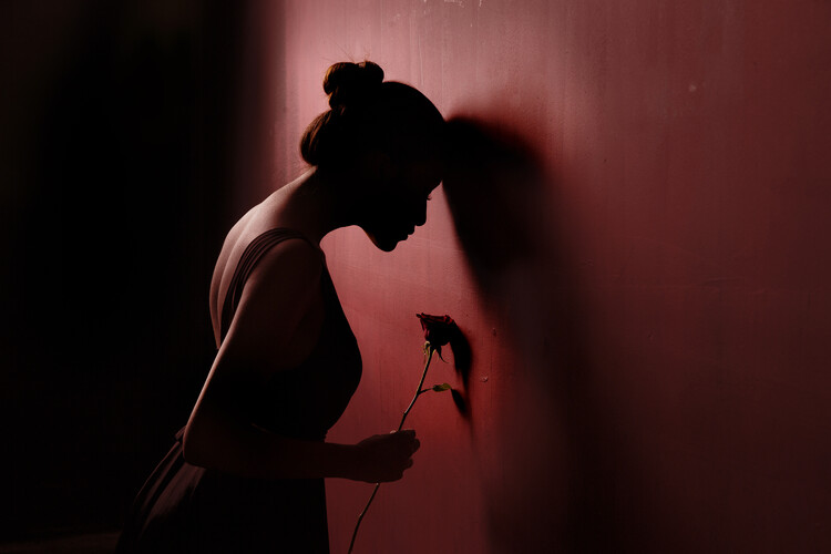 Canvas Print Red Rose