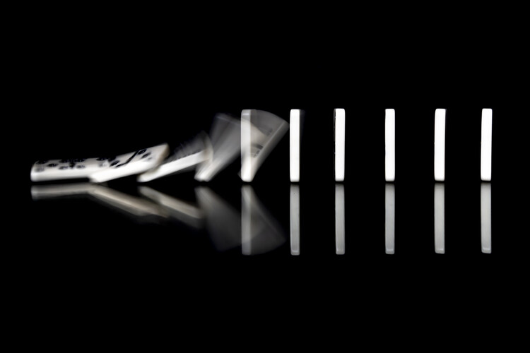 Canvas Print Shoot and freez