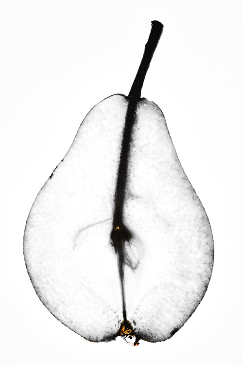 Canvas Print Pear