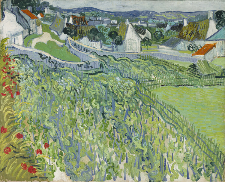 Poster Vineyards at Auvers (1890)