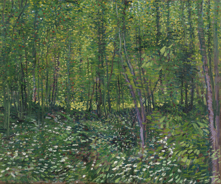 Sticker Trees and Undergrowth, 1887