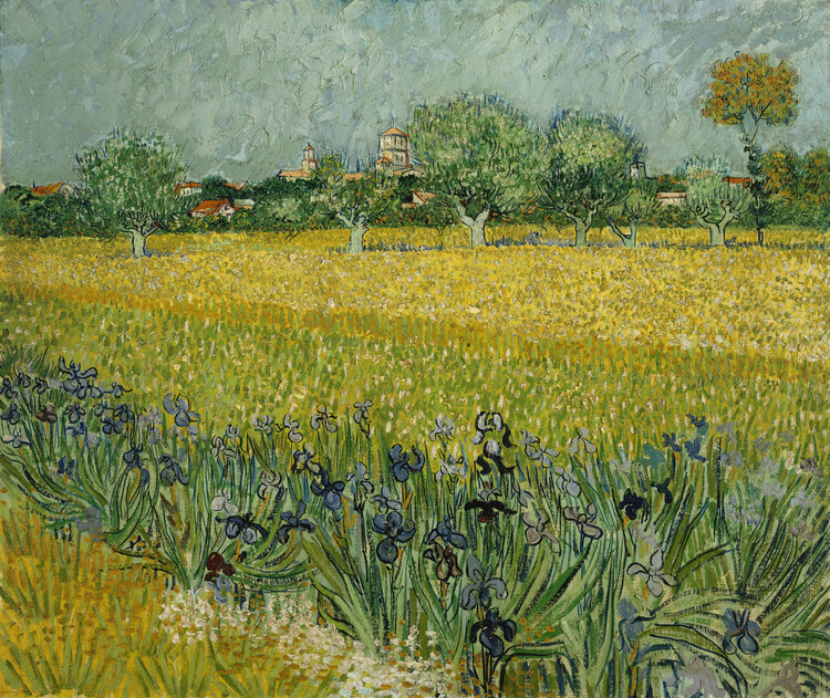 Levně Plakát, Obraz - Field with Flowers near Arles, 1888, Vincent van Gogh, 40 × 33.6 cm