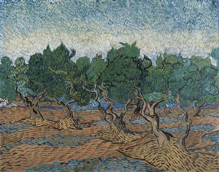 Canvas Print Olive Grove, 1889