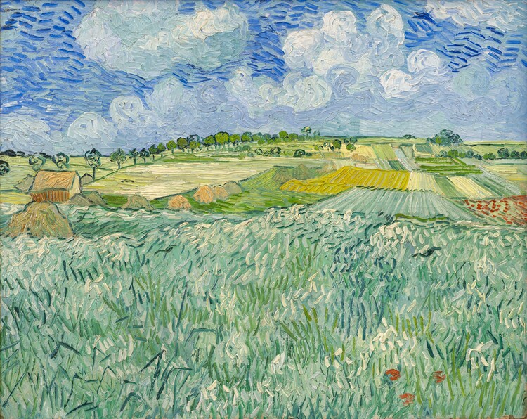Levně Plakát, Obraz - Plain at Auvers, 1890, Vincent van Gogh, 40 × 30 cm