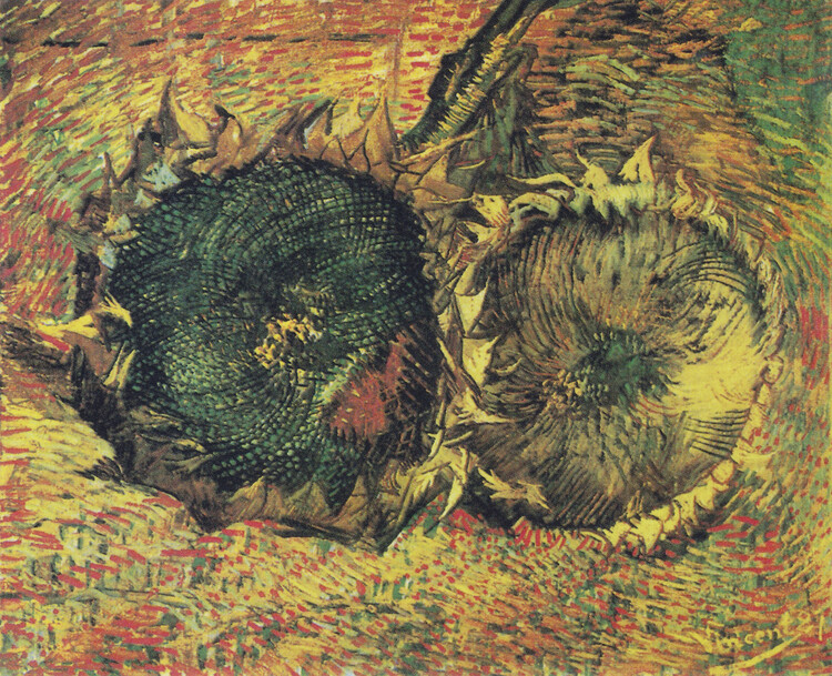 Sticker Two Cut Sunflowers, 1887