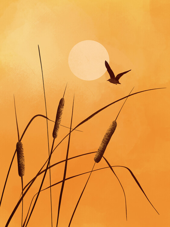 Плакат Orange Skies