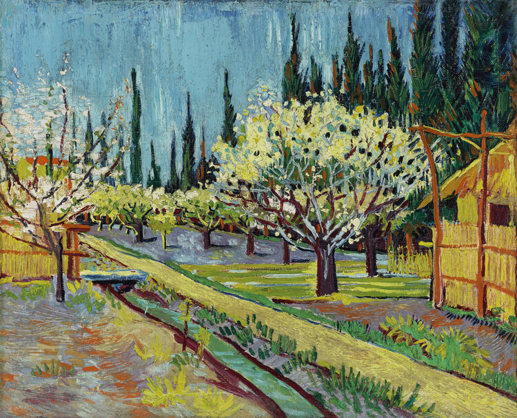 Poster Orchard Bordered by Cypresses (1888)