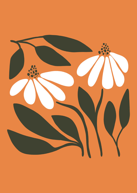 Poster Mid Century Marguerite Daisy Flower