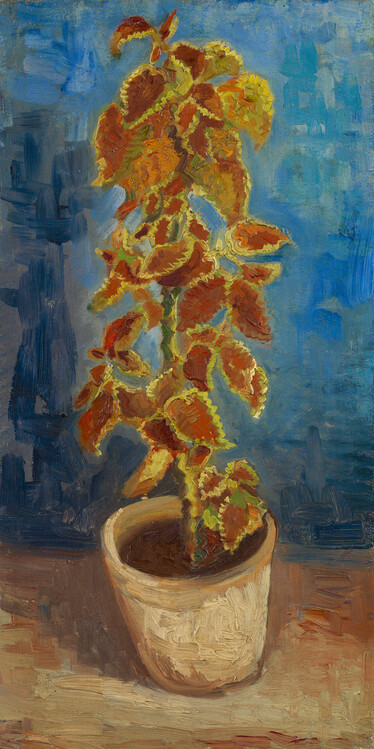 Canvas Print Flower, 1886