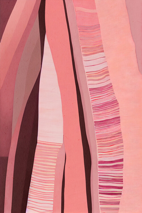 Принти на полотні Pink Layers