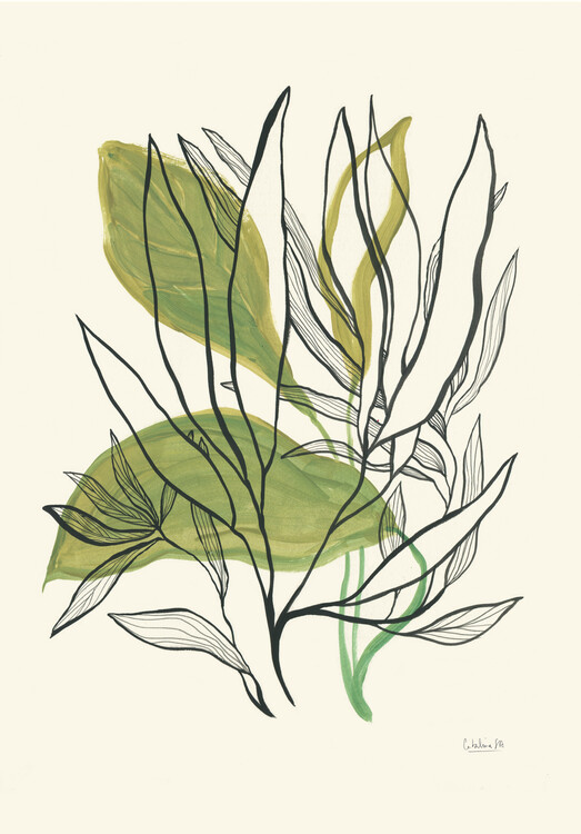 Poster Foliage N.1