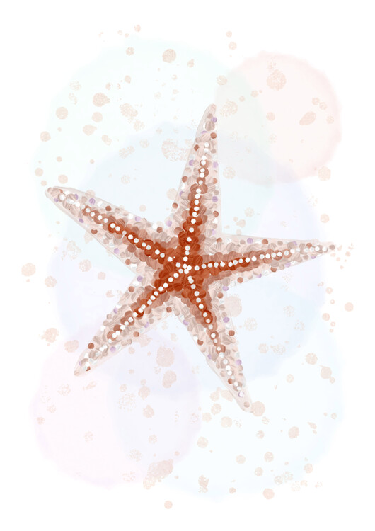 Plakát Red Star Fish