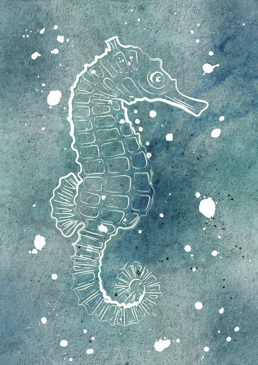 Plakát Whit Seahorse