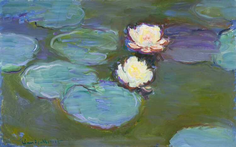 Canvas Print Waterlilies, Evening