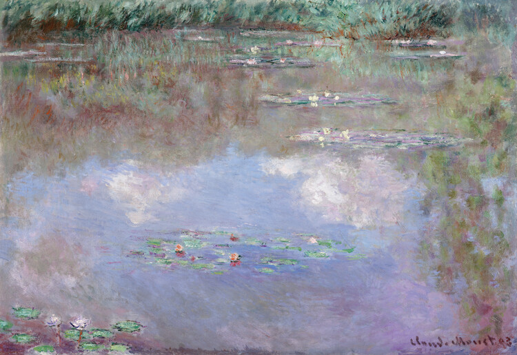 Poster Waterlilies (1910)