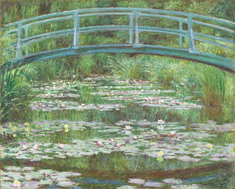 Poster Water Lily Pond