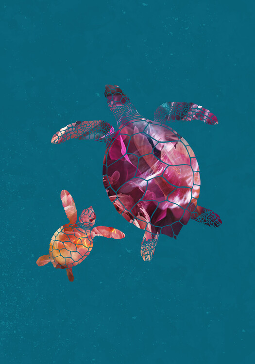 Poster Colourful Turtles
