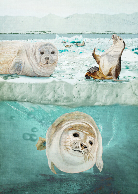 Poster Arctic Expedition