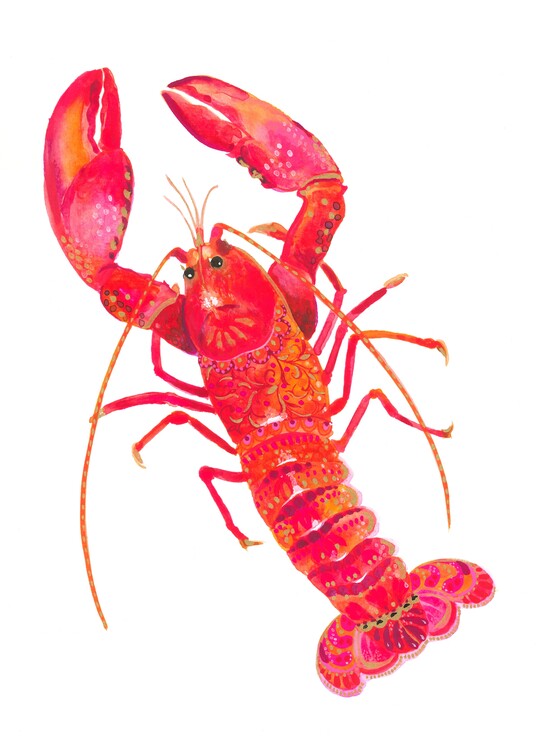 Levně Plakát, Obraz - Patterned Lobster, Isabelle Brent, 30 × 40 cm
