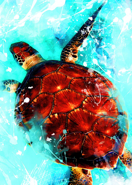 Poster Tortoise animal art