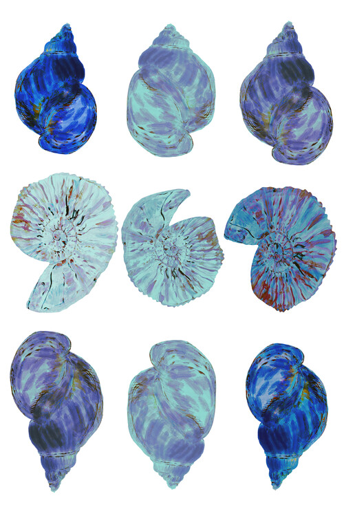 Poster Blue Sea Shells