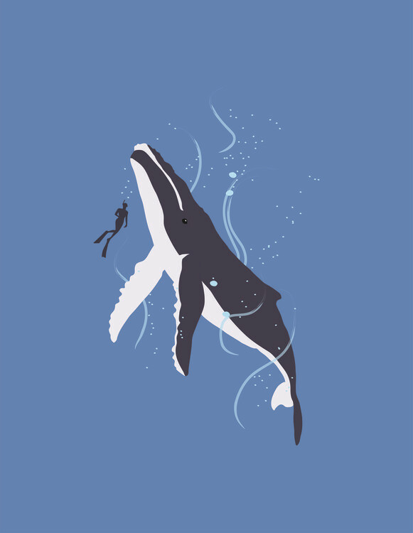 Poster Humpback Whale and Human