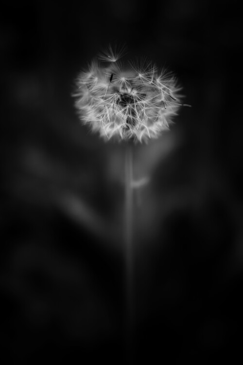 Poster Natur, Minimalismus