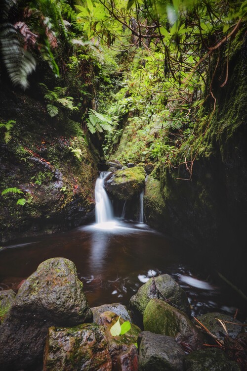 Плакат Wasserfall