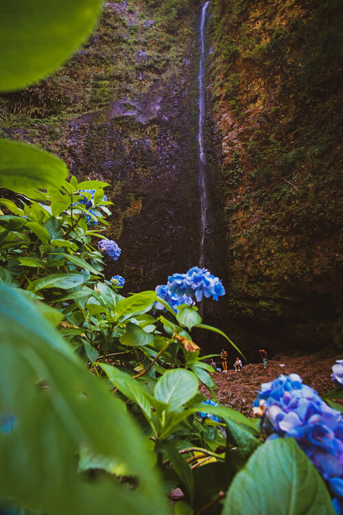 Плакат Wasserfall