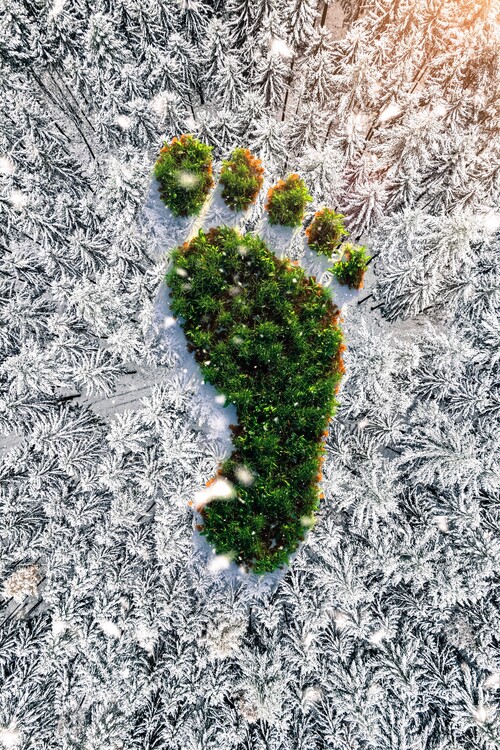 Plakat Nature's footprint ecology