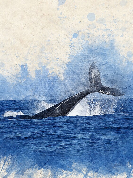 Poster Majestic Whale Tail