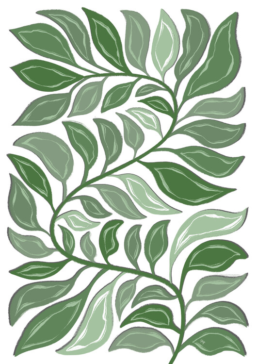 Poster Green Snake Plant
