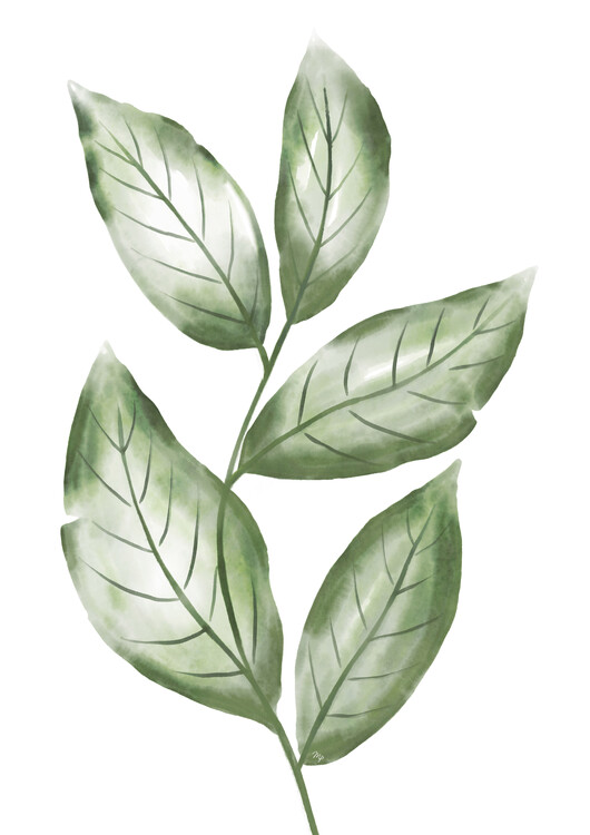 Poster Green Watercolour Leaves One Set