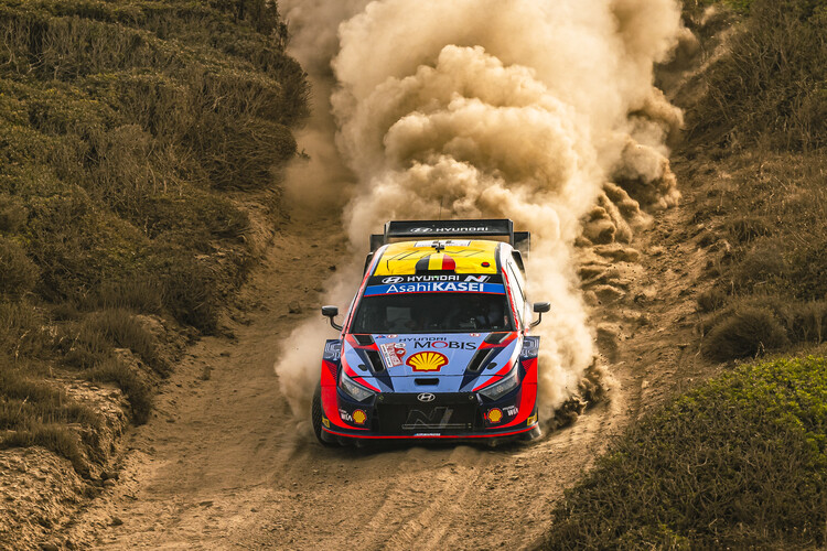 Poster Hyundai WRC