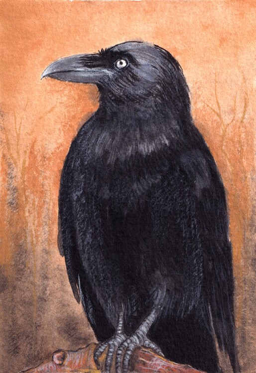 Poster Misterious Crow, Acrylic Painting on Paper.