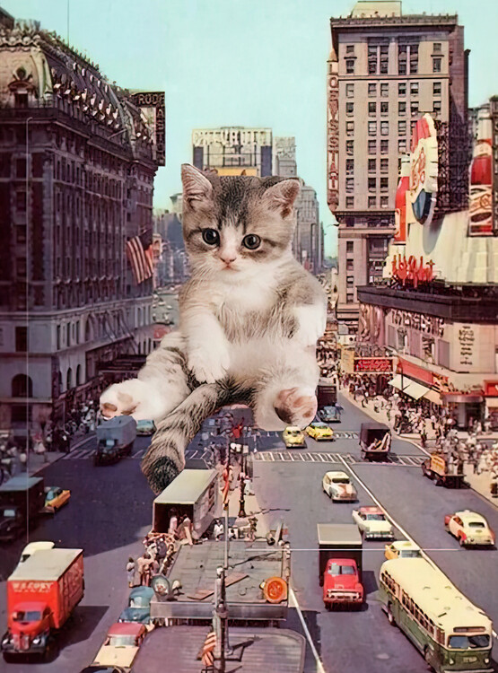 Plakát Cats about City Life