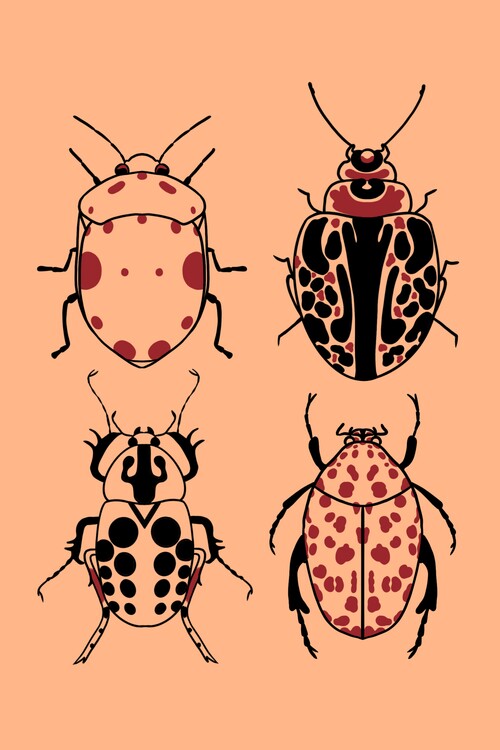 Póster Bugs