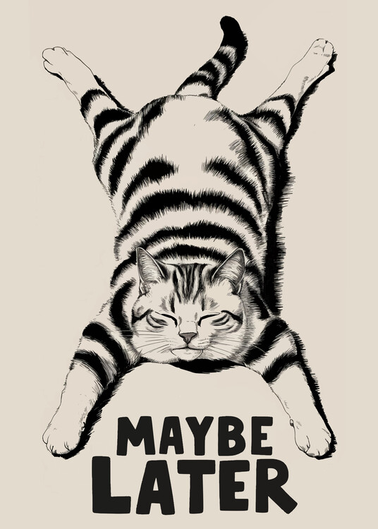 Poster Maybe Later Lazy Cat Sleepy