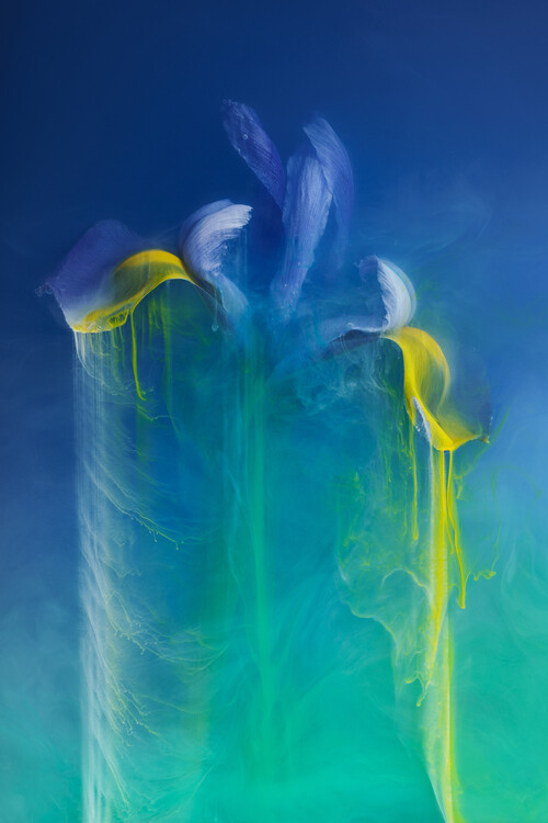 Плакат Dissolving Iris
