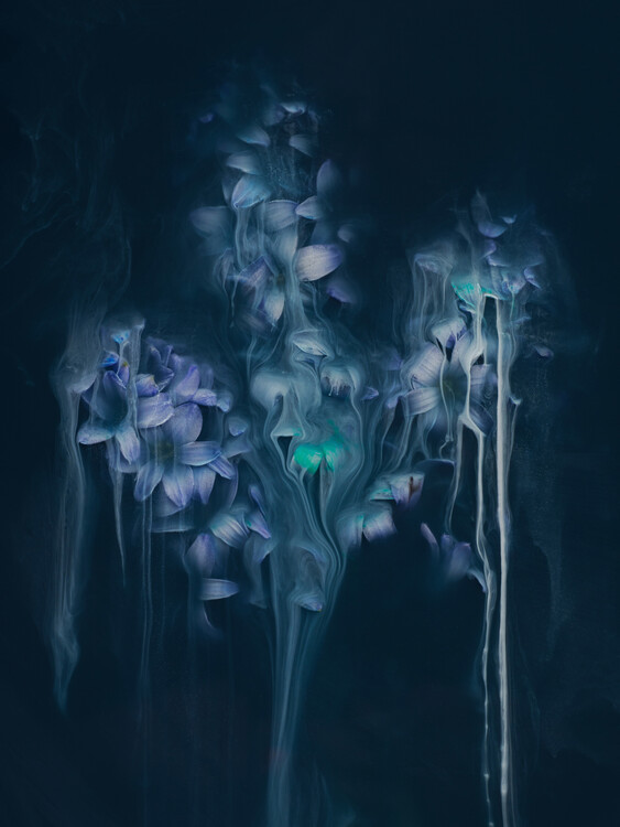 Poster Submerged Hyacinths
