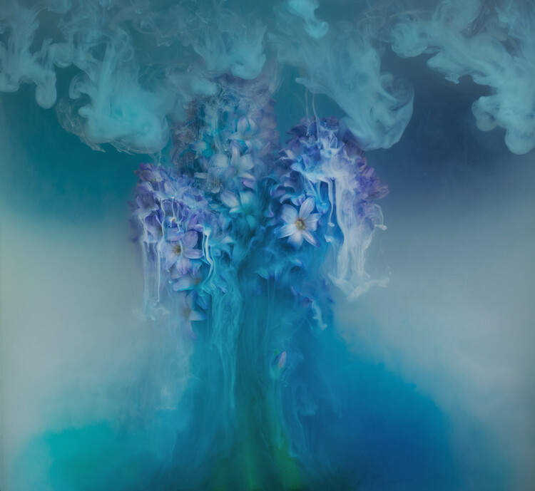 Poster Submerged Hyacinths