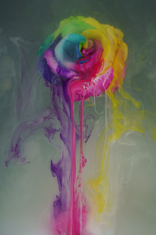 Плакат Magical Rainbow rose