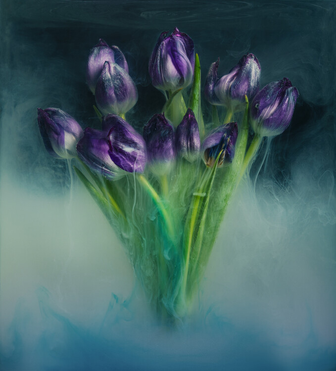 Плакат Ethereal Tulips