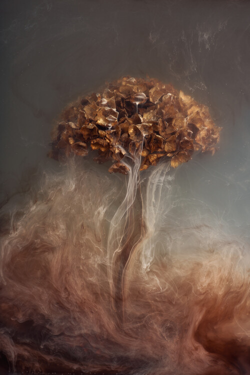 Плакат Mystical tree of life