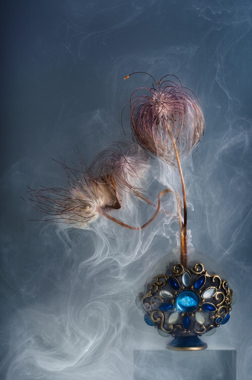 Плакат Ethereal seedheads