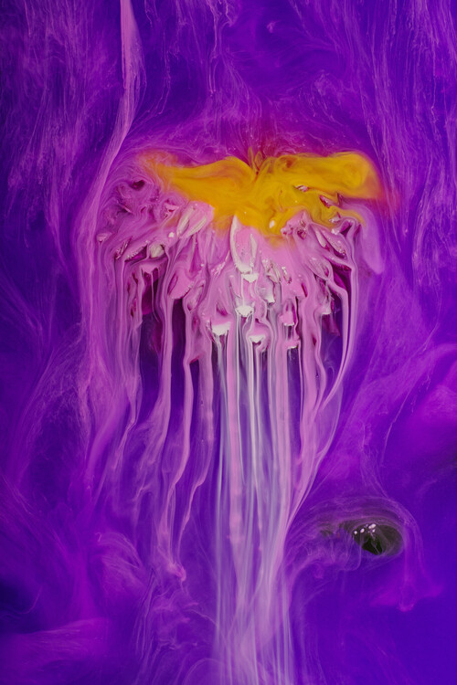 Плакат Colourful submerged Chrysanthemum