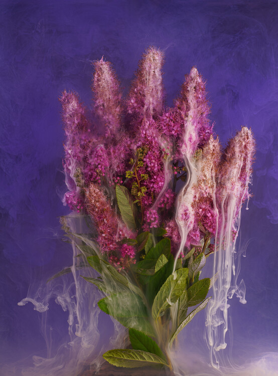 Плакат Ethereal pink flowers