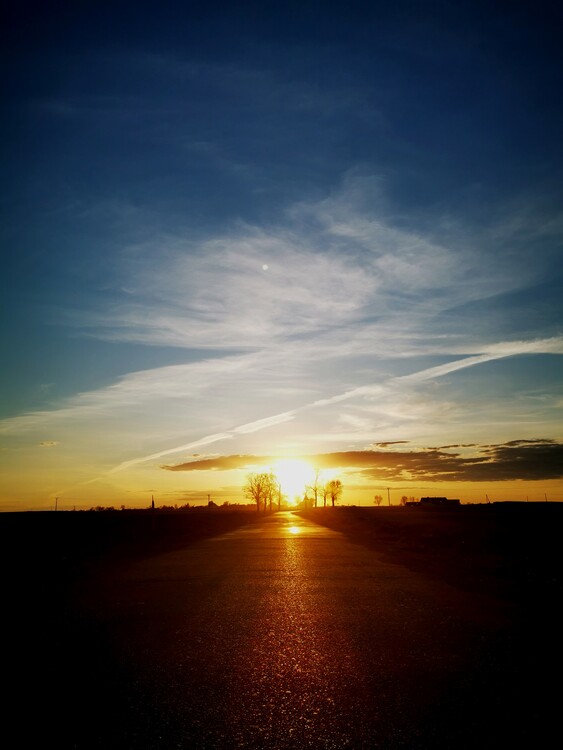 Plakat Sunset